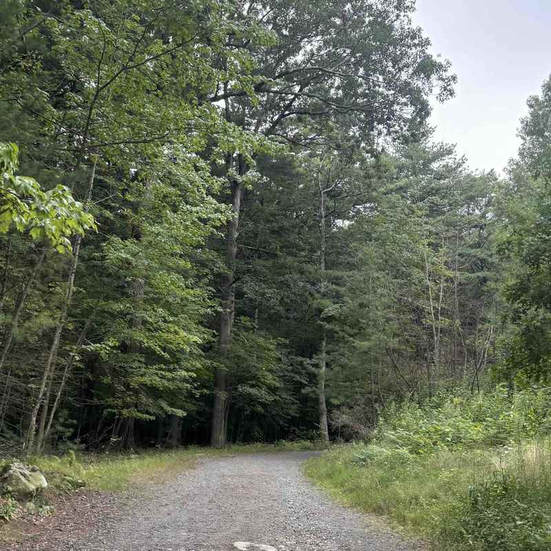 Park photo 3